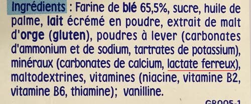 Lactate de fer, Lactate ferreux (E585)